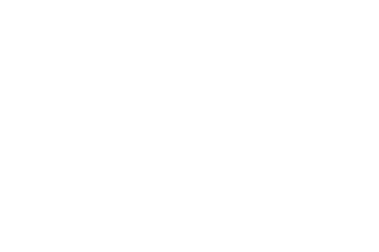 logo publimat blanc