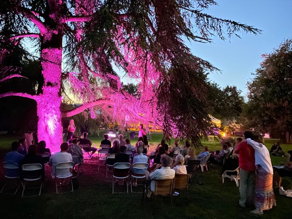 Le parc du Castel Fey éclairé à la nuit tombée, sous le grand cèdre