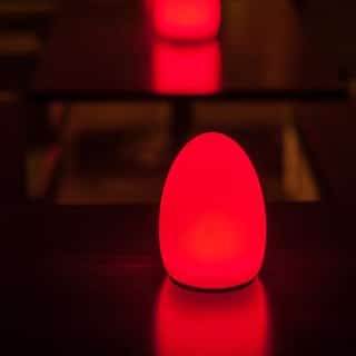 Lampe de table lumineuse Egg